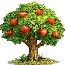 Plants Quiz